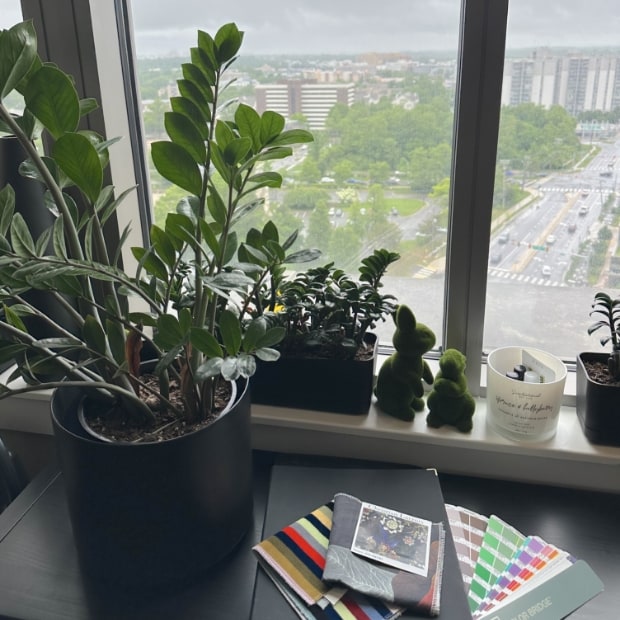byrdview-creative-workspace-window-light-color-samples-620x620-1 Creative workspace with plants and color samples used for website design planning